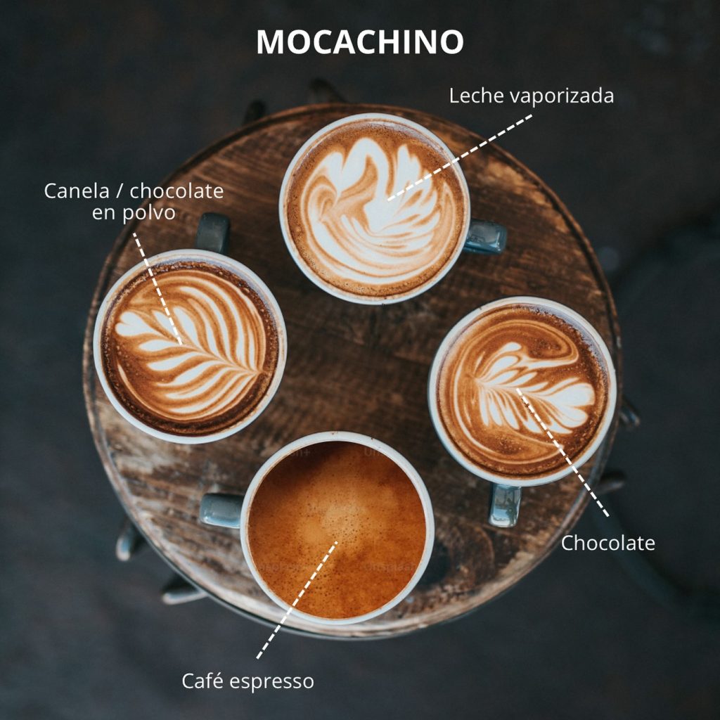 mocachino - valdival