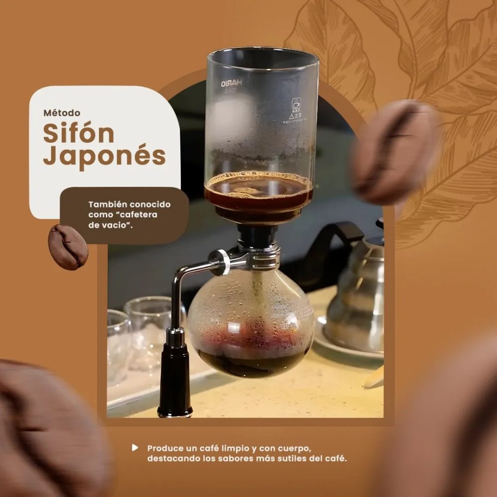 sifon japones - valdival