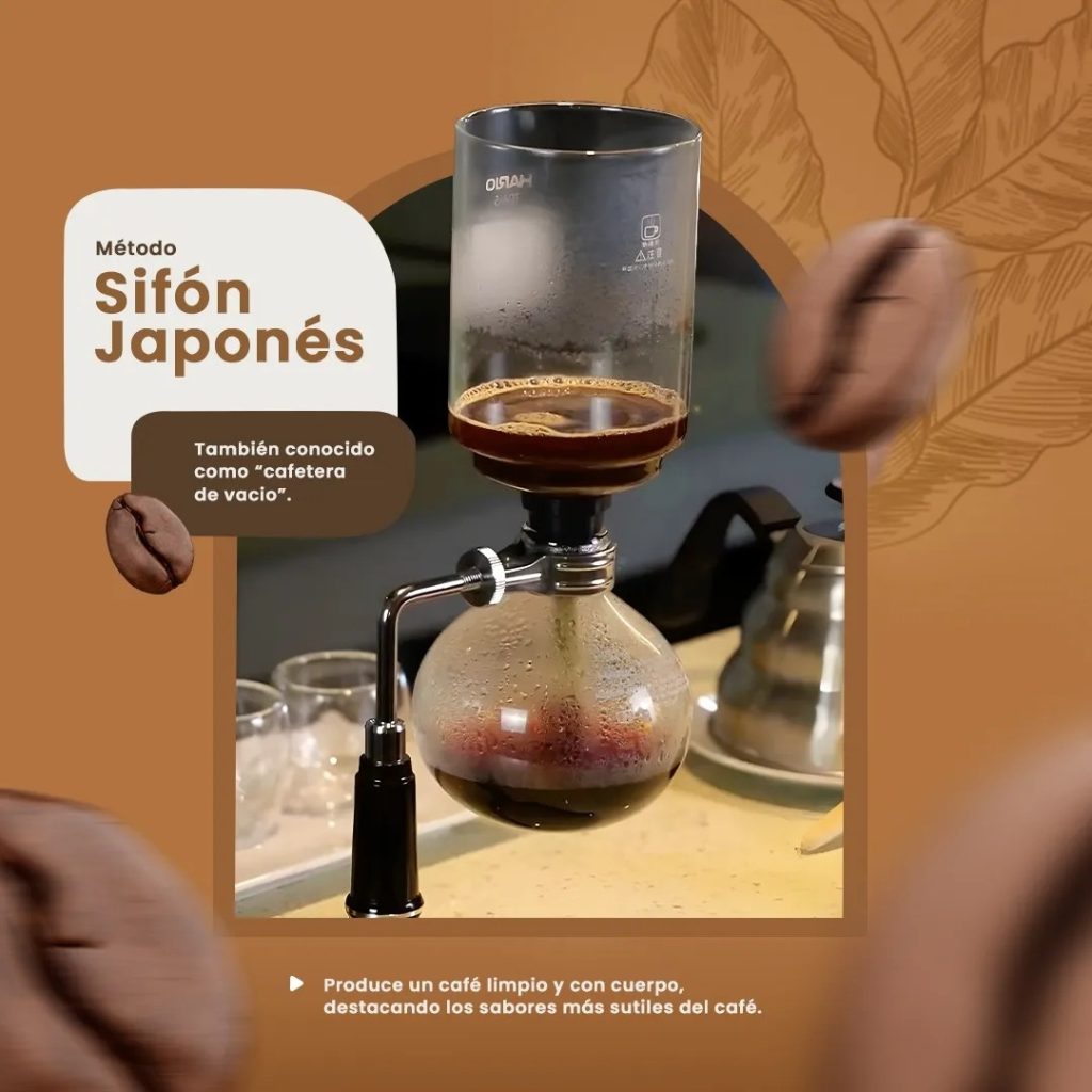 sifon japones - valdival
